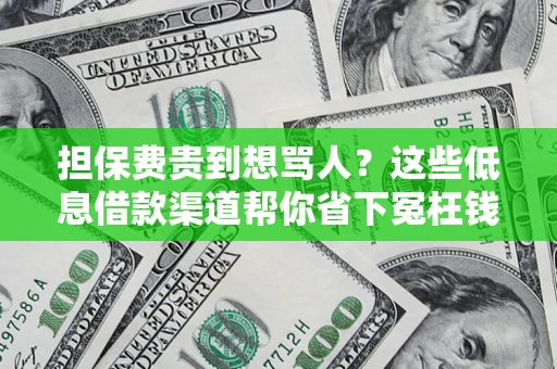 济南担保费贵到想骂人？这些低息借款渠道帮你省下冤枉钱
