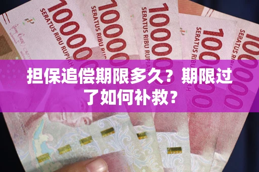 济南担保追偿期限多久？期限过了如何补救？